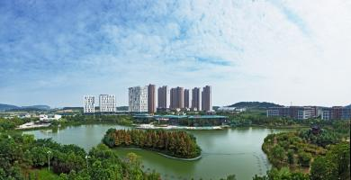 55ef802be768426392f38a908e94a96c